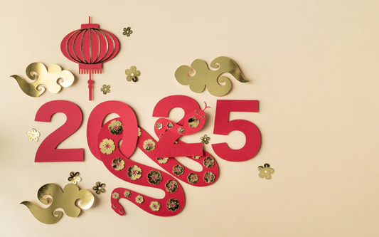 Year of the Snake 2025 Predictions for Each Zodiac Sign