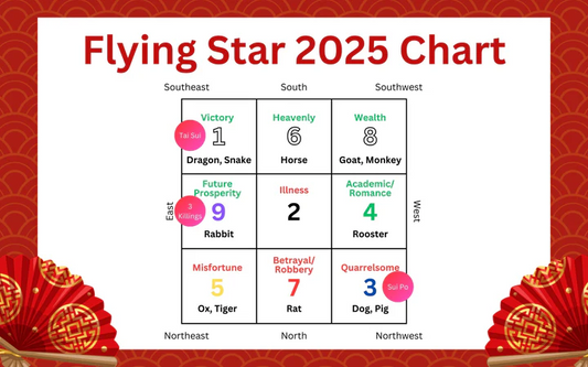 Feng Shui 2025 : Flying Star Chart Cures & Enhancers